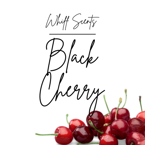 Black Cherry Car Diffuser