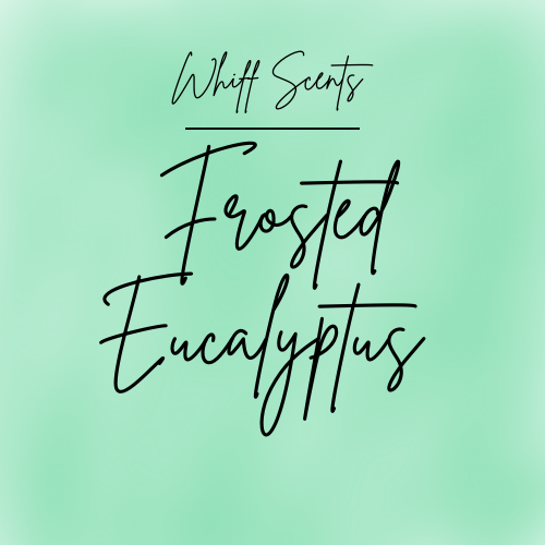 Frosted Eucalyptus Wax Tart